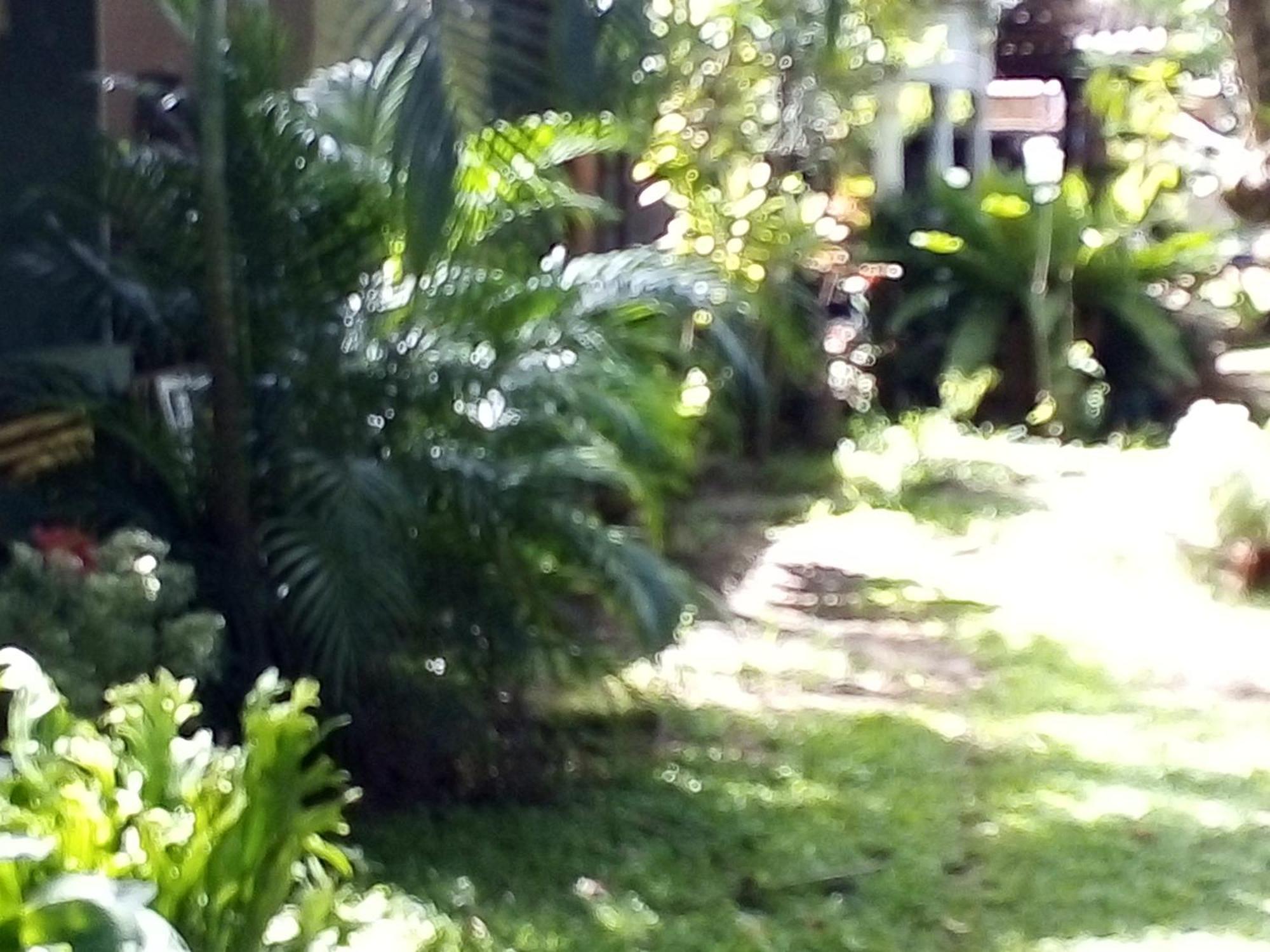 Bandula Home Stay Szigirija Kültér fotó