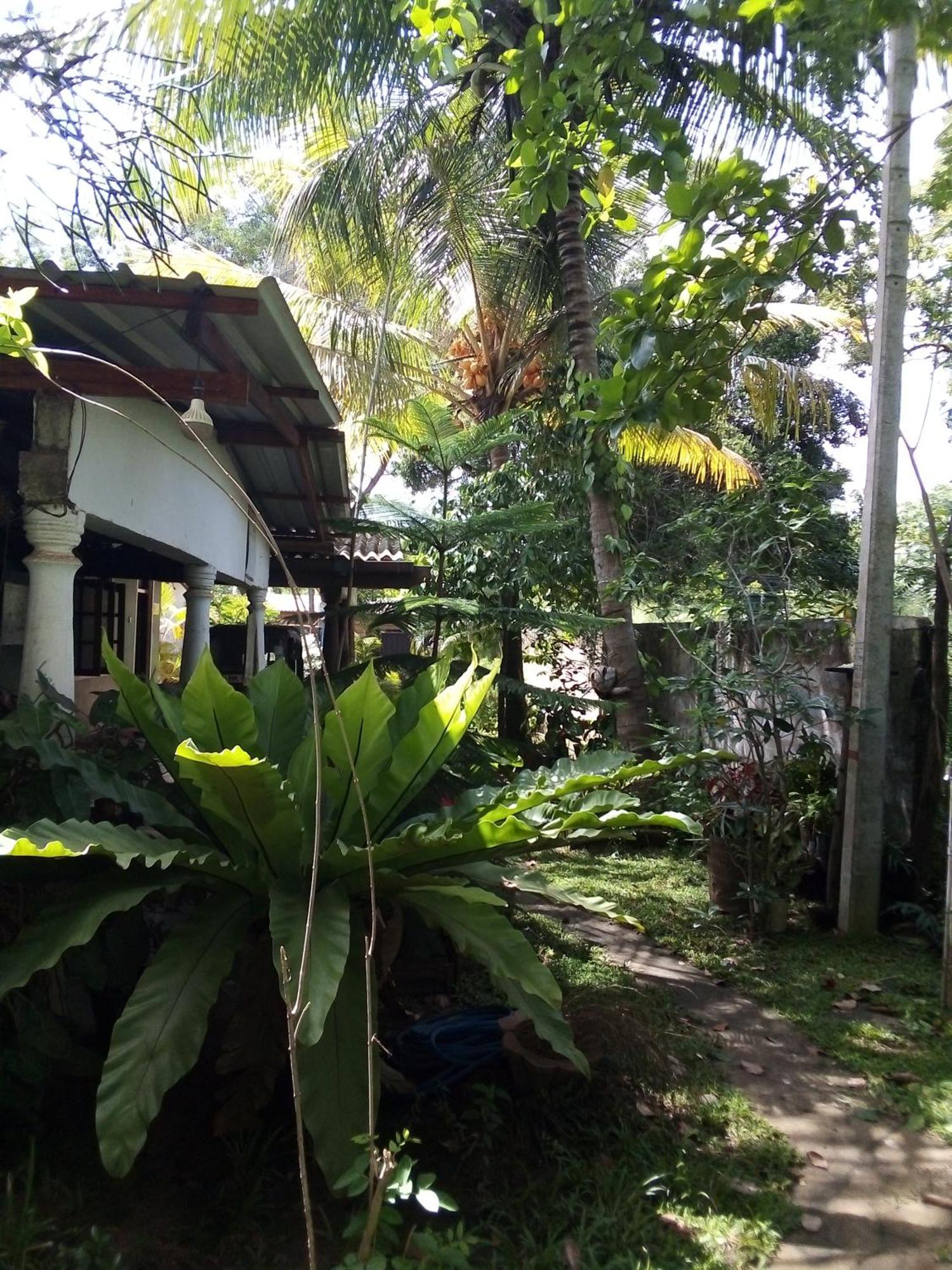 Bandula Home Stay Szigirija Kültér fotó
